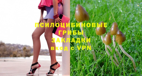 СК Алексеевка