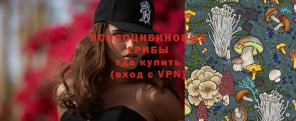 прущий лед Алексин