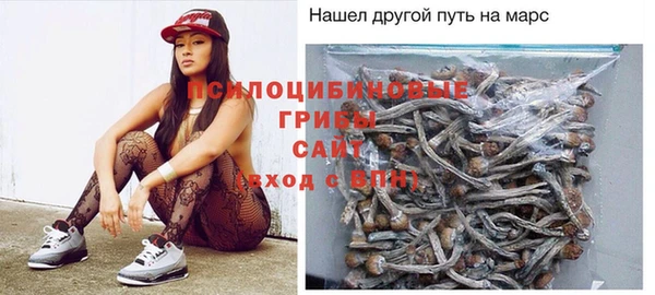 сатива Абаза