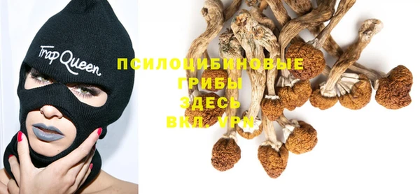 СК Алексеевка