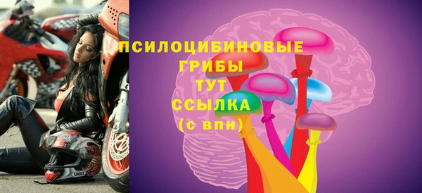скорость Алзамай