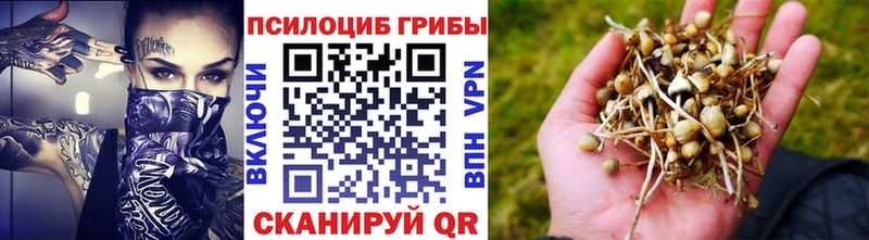 Галлюциногенные грибы прущие грибы  Кирс 